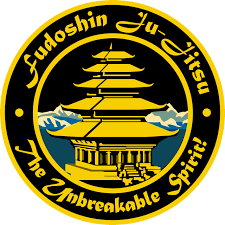 Image result for Aikido Rickmansworth