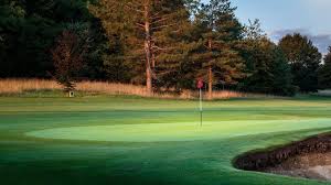 Image result for Henley Golf Club