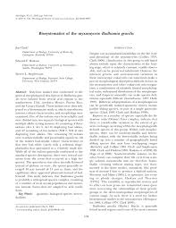 Attēlu rezultāti vaicājumam “Badhamia dubia sessile”