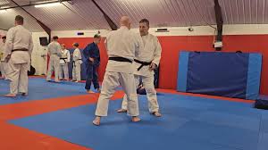 Image result for Renrukan school of continuous attack