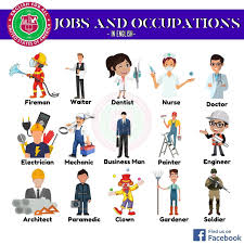 Image result for occupations