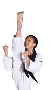 Image result for COMBAT TAEKWONDO
