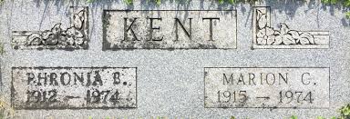 Attēlu rezultāti vaicājumam “Phronia sp.”