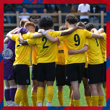 Image result for Camberley Ladies Football Club