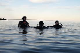 Image result for Bedford Scuba Divers