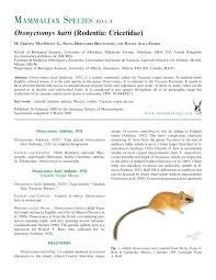Attēlu rezultāti vaicājumam “Cricetidae”