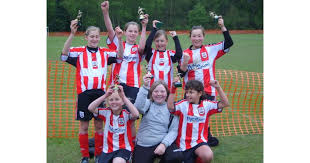 Image result for Warsash Wasps Sports & Football Club