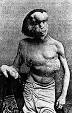 Elephant Man Picture 0