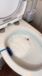 Image result for german toilet