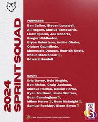 Image result for Stirling Wolves