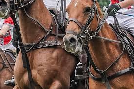 Image result for Kirtlington Park Polo Club