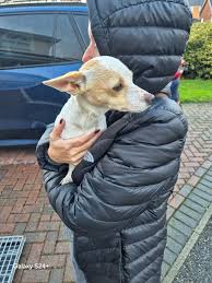 Image result for Kinmel Bay / Towyn Bowling Club