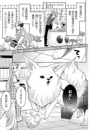 メシウマ에 대한 이미지 검색결과