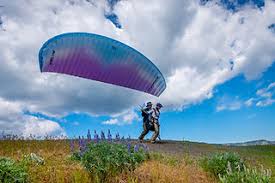 Image result for Apex Paragliding School
