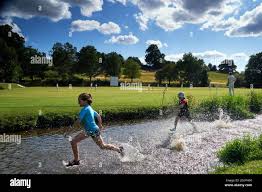 Image result for Worplesdon & Burpham Cricket Club