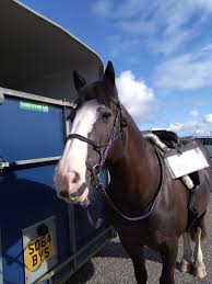 Image result for North Lammermuir Riding Club