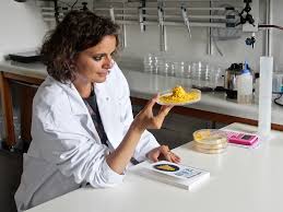 Attēlu rezultāti vaicājumam “Physarum luteolum young”