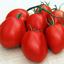 Afbeeldingsresultaat voor amish paste tomato