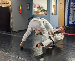 Image result for Unity School Of Jiu Jitsu