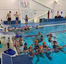 Image result for Kingsbridge Kingfishers Swimming Club