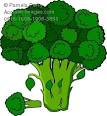 Acclaim Images - fresh broccoli photos, stock photos, images ...