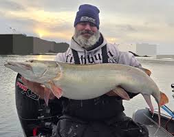 Image result for Esox masquinongy