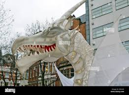 Image result for leicester dragons