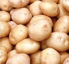 Attēlu rezultāti vaicājumam “Solanum tuberosum”