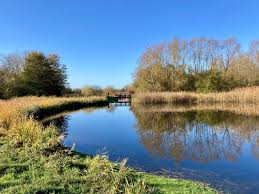 Image result for Thames Valley Angling