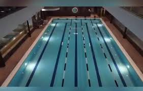 Image result for Gosport Dolphins Swimming Club