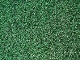 Image result for Astroturf