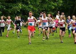 Image result for Louth Athletic Club