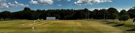 Image result for Valley End Cricket Club