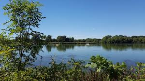 Image result for Loddon Vale Bridge Club