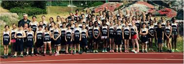 Image result for Warwick Wolves