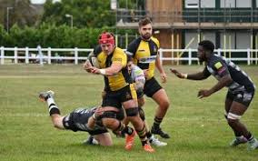 Image result for Witham Rugby Club Ltd