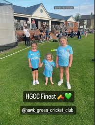 Image result for Hawk Green Cricket Club