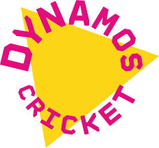 Image result for Witham Cricket Club