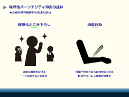 Image result for 衝動制御障害BPD