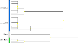 Attēlu rezultāti vaicājumam “Oxyrrhynchium hians var. rigidum macro”