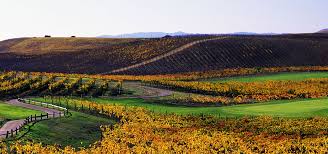 Image result for Amber Valley Gc