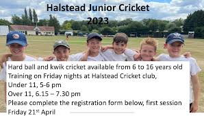 Image result for Halstead Colts Cricket Club
