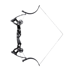 Image result for Osprey Archery Club