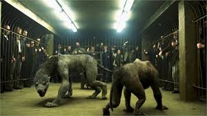 Image result for werehuman фото