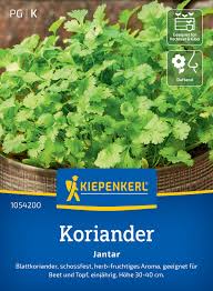 Image result for Koriander