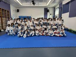 Image result for Everitt Karate Academy