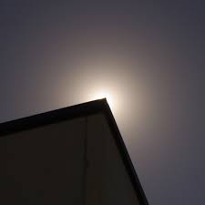 Attēlu rezultāti vaicājumam “pollen corona”