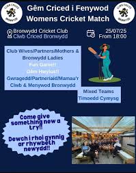 Image result for Bronwydd Cricket Club