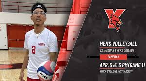 Image result for York University Volleyball Club