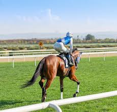 Image result for The Horse Racing Club
